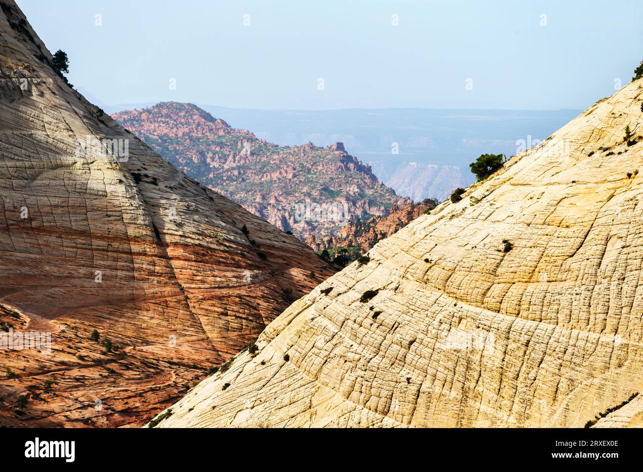 Paesaggio panoramico del parco nazionale di Zion, Utah, Stati Uniti Foto Stock