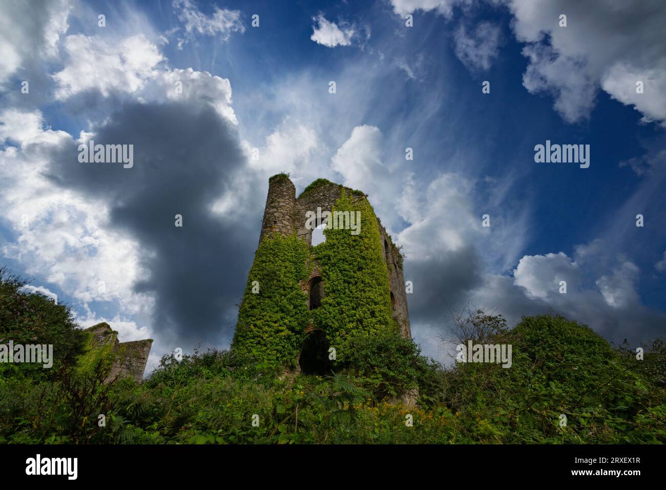 MINIERE DI TIN ABBANDONATE CARN BREA TIN ROVINE DI FRANCOBOLLI WEST BASSET Foto Stock