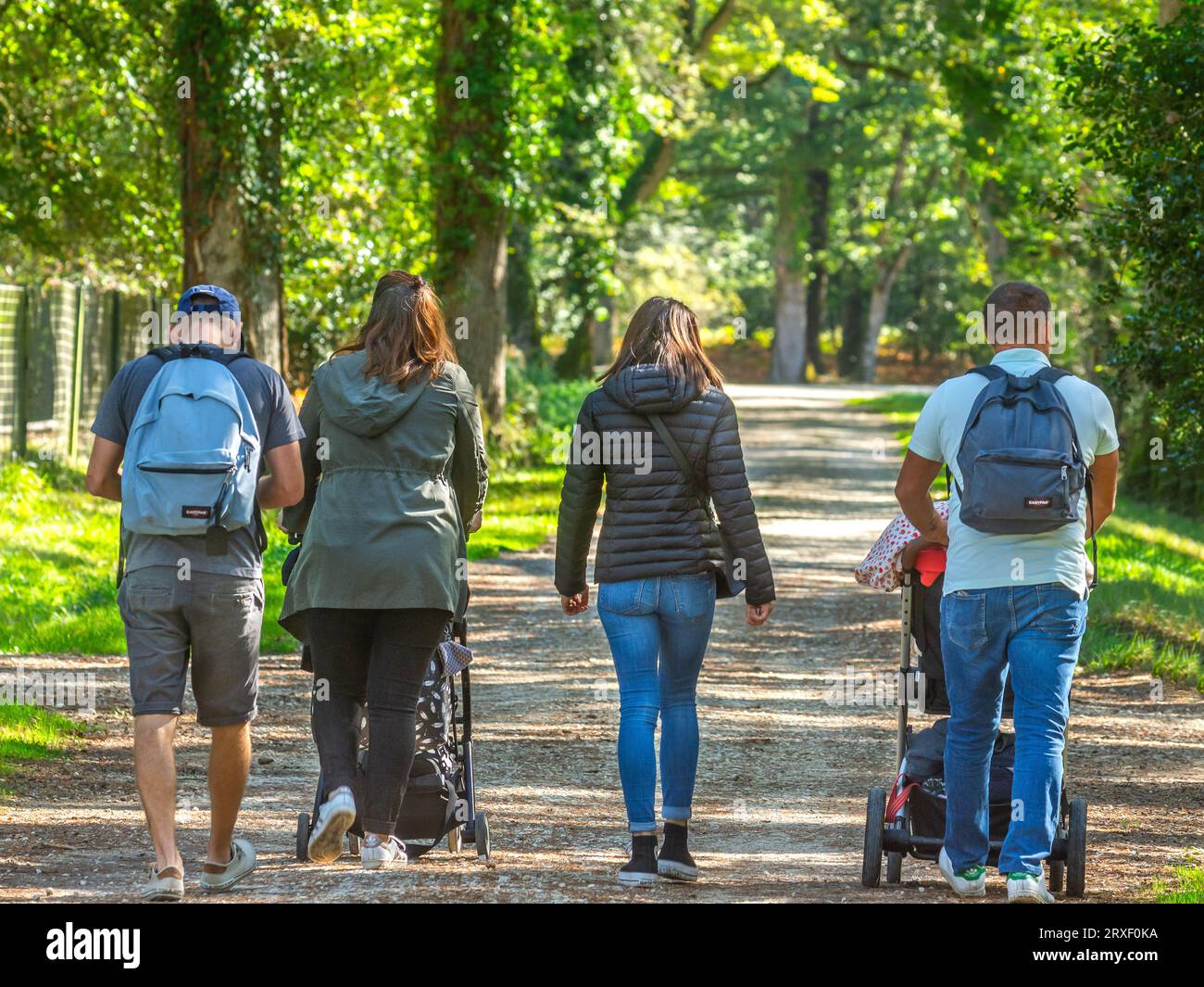 Due famiglie spingono i bambini piccoli a camminare lungo una strada boschiva nel parco zoologico dell'alta Touche - Indre (36), Francia. Foto Stock