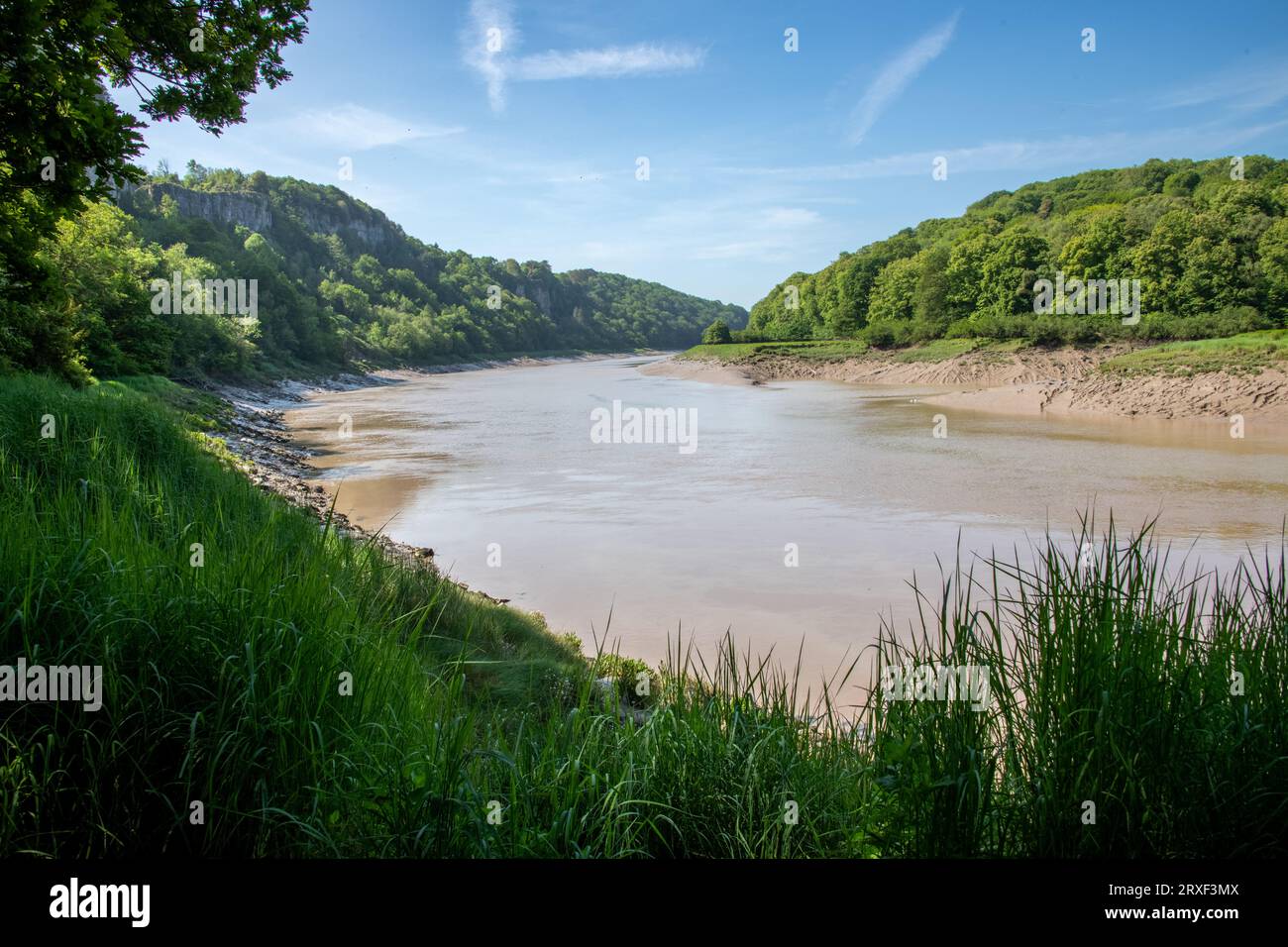 Vista del fiume Wye nella riserva naturale di Lancaut Foto Stock