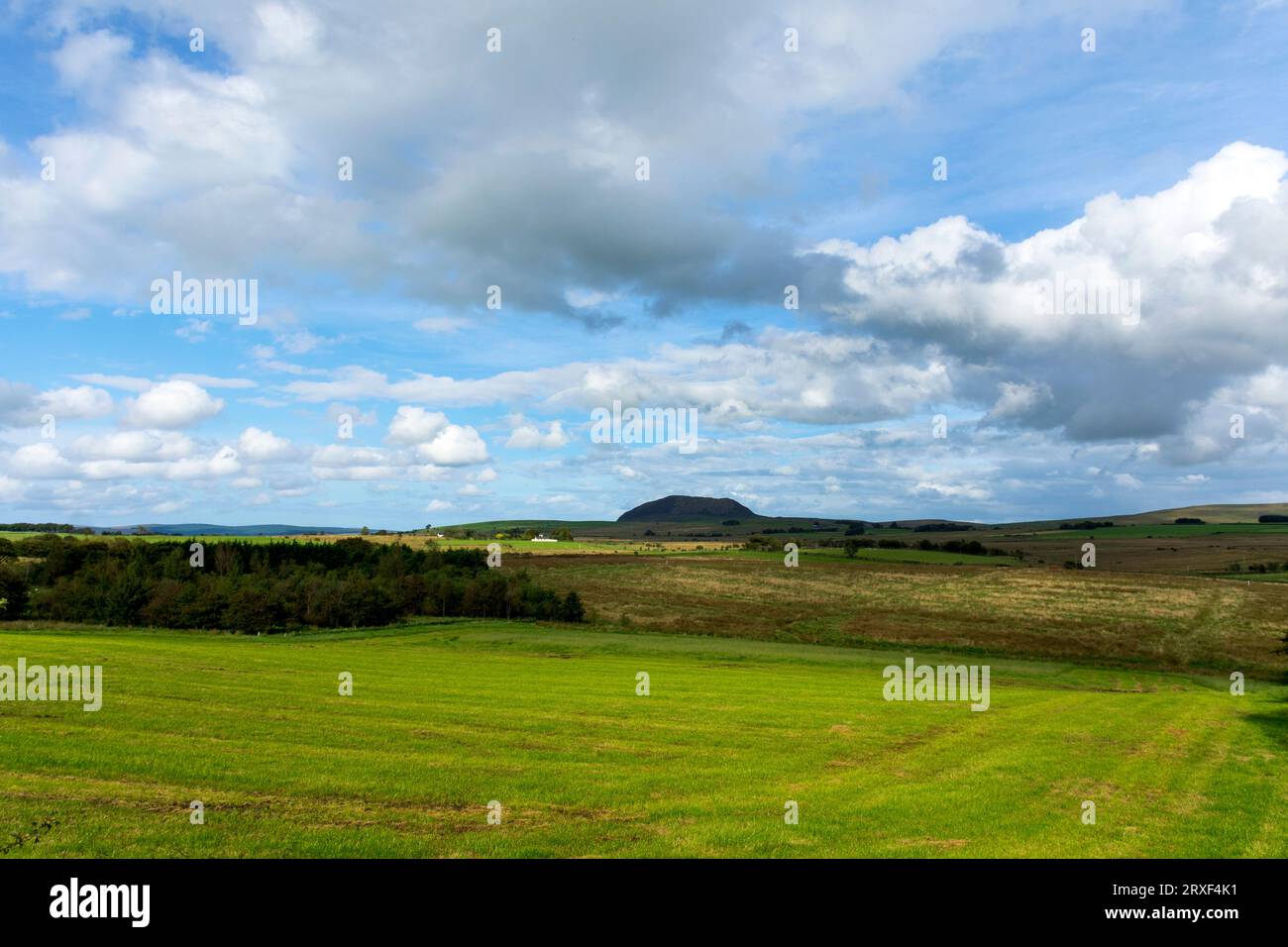 Slemish, storicamente chiamata Slieve Mish, è una collina della contea di Antrim, Irlanda del Nord. Si trova a pochi chilometri a est di Ballymena. Foto Stock