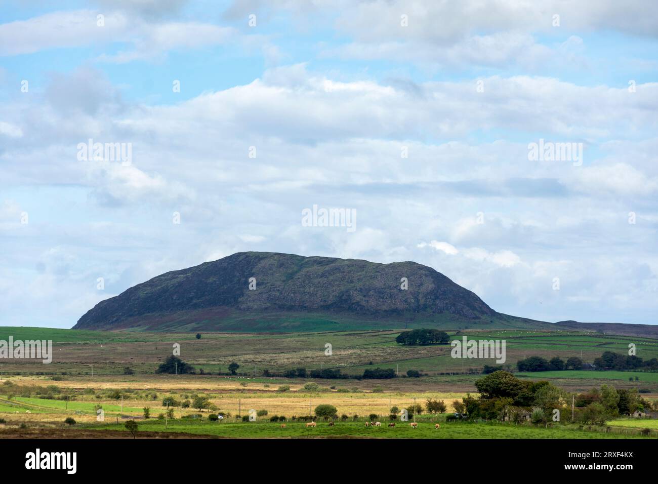 Slemish, storicamente chiamata Slieve Mish, è una collina della contea di Antrim, Irlanda del Nord. Si trova a pochi chilometri a est di Ballymena. Foto Stock