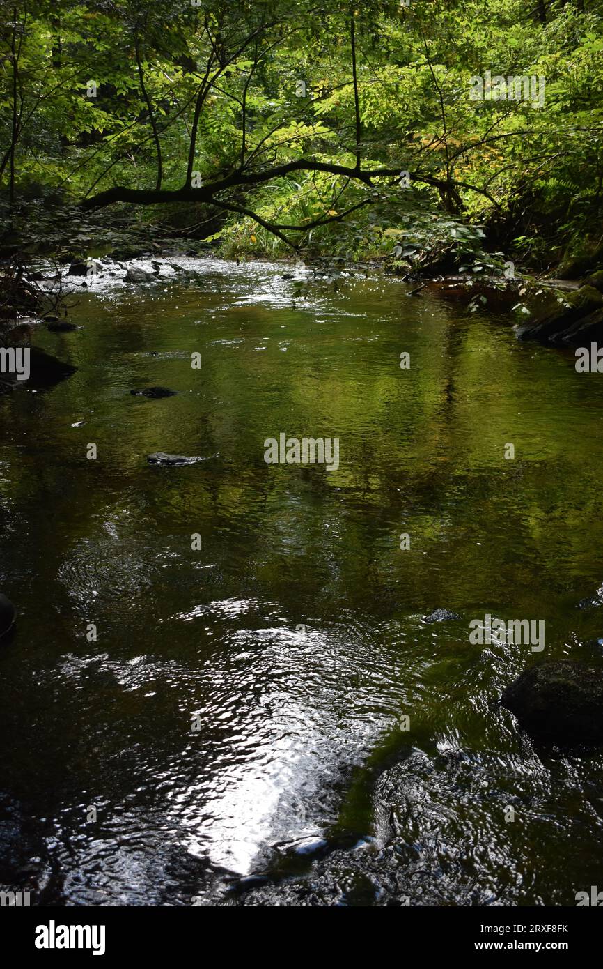 Le fate cadono Foto Stock