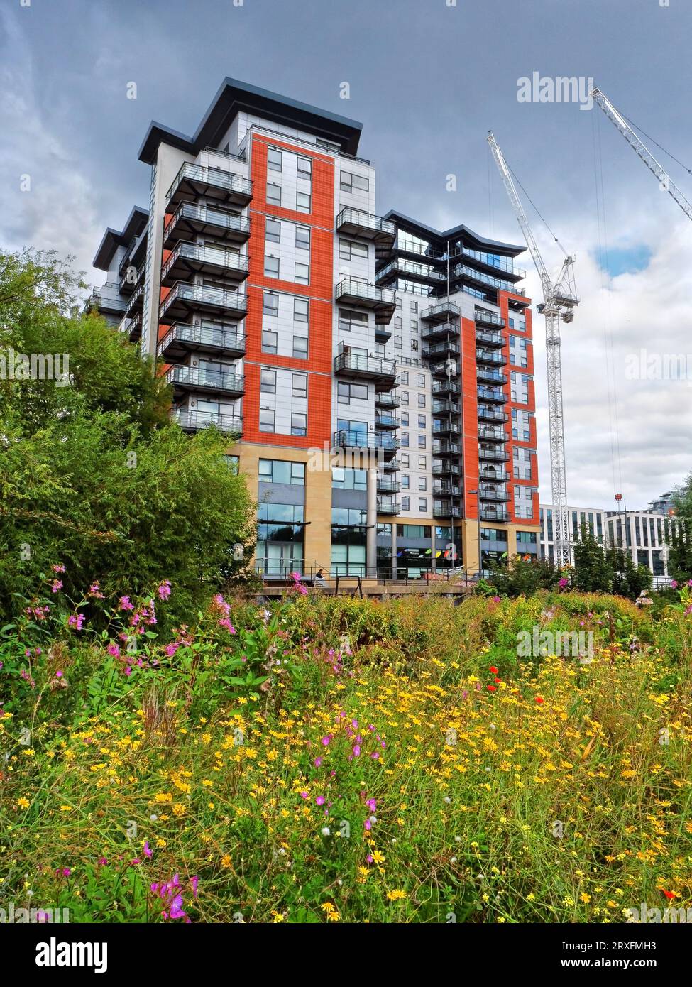 Regno Unito, West Yorkshire, Leeds, Whitehall Riverside Pocket Park e Waterfront Apartments. Foto Stock