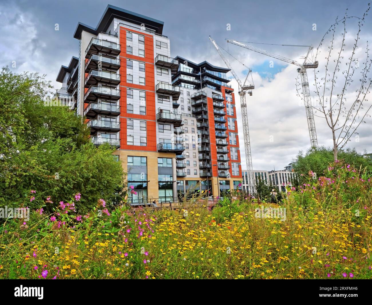 Regno Unito, West Yorkshire, Leeds, Whitehall Riverside Pocket Park e Waterfront Apartments. Foto Stock