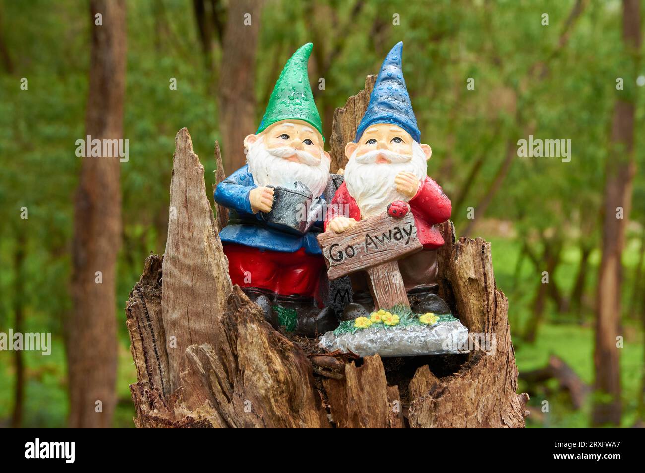 Due gnomi da giardino su un ceppo di alberi con un cartello con scritto Go Away, Gnomesville, Ferguson Valley, Australia Occidentale. Foto Stock