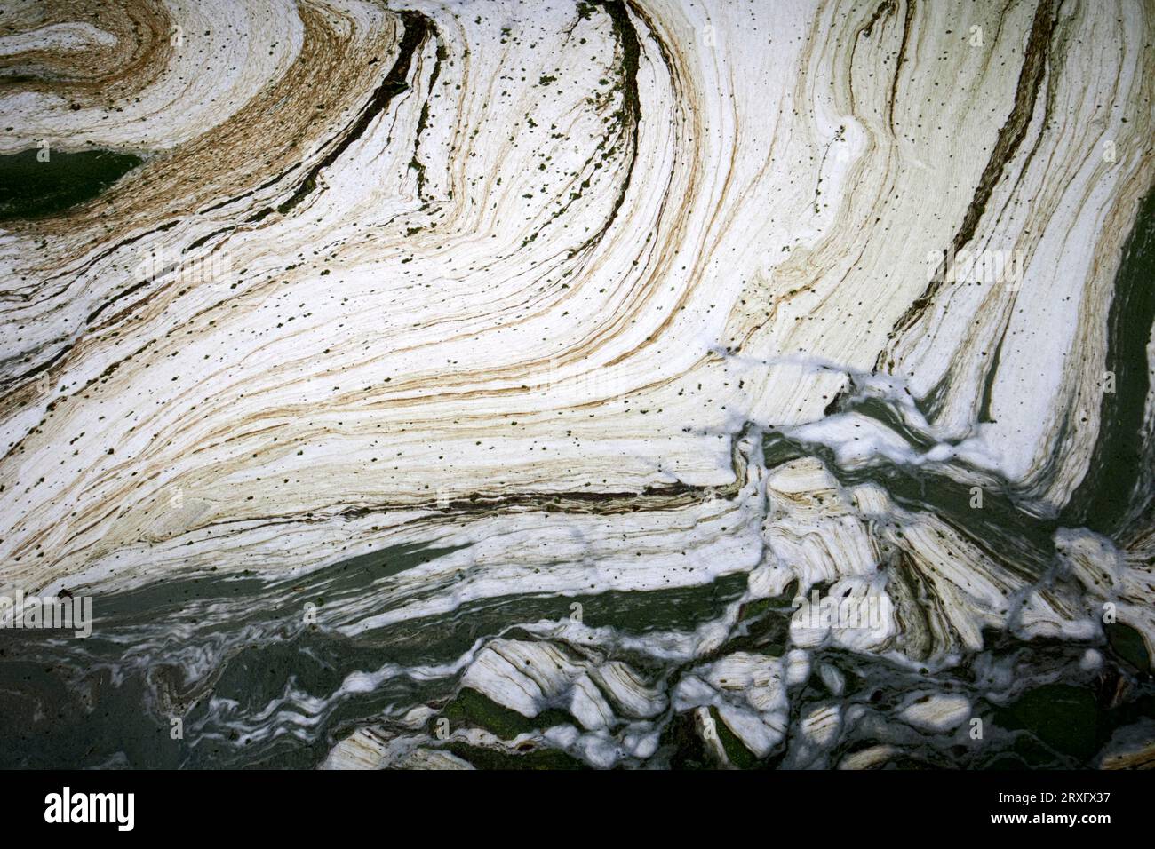 Motivi bianchi blu e verdi nella formazione di focolai di alghe verdi blu presso il canale toome sul Lough Neagh Irlanda del Nord Regno Unito Foto Stock