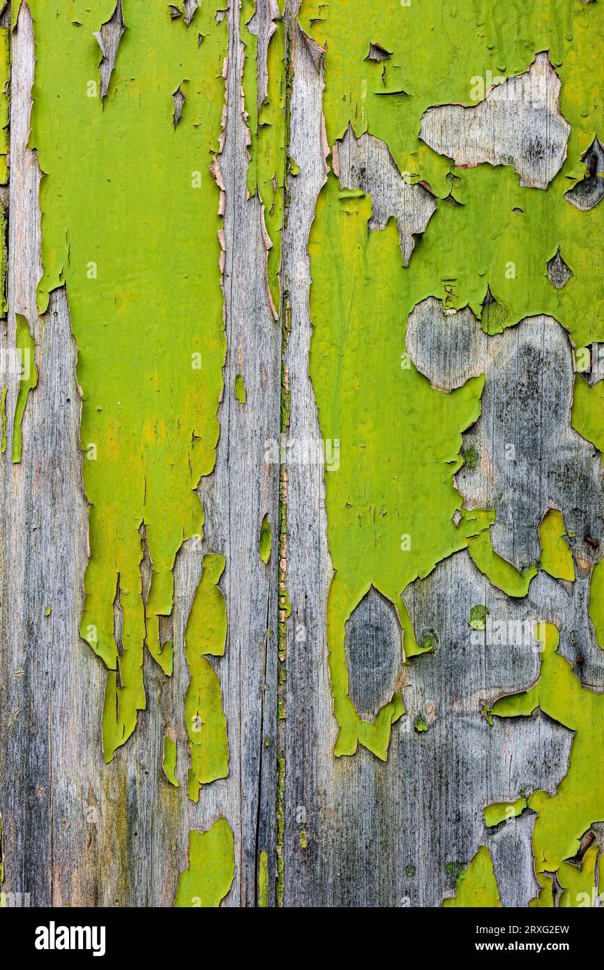 Struttura della porta vecchia in legno invecchiata nel tempo con vernice peeling, Brasile Foto Stock