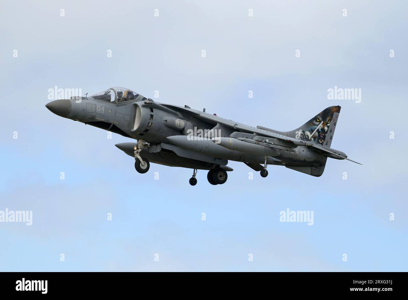 McDonnell Douglas AV8 Harrier caccia monoposto della Marina militare italiana Foto Stock