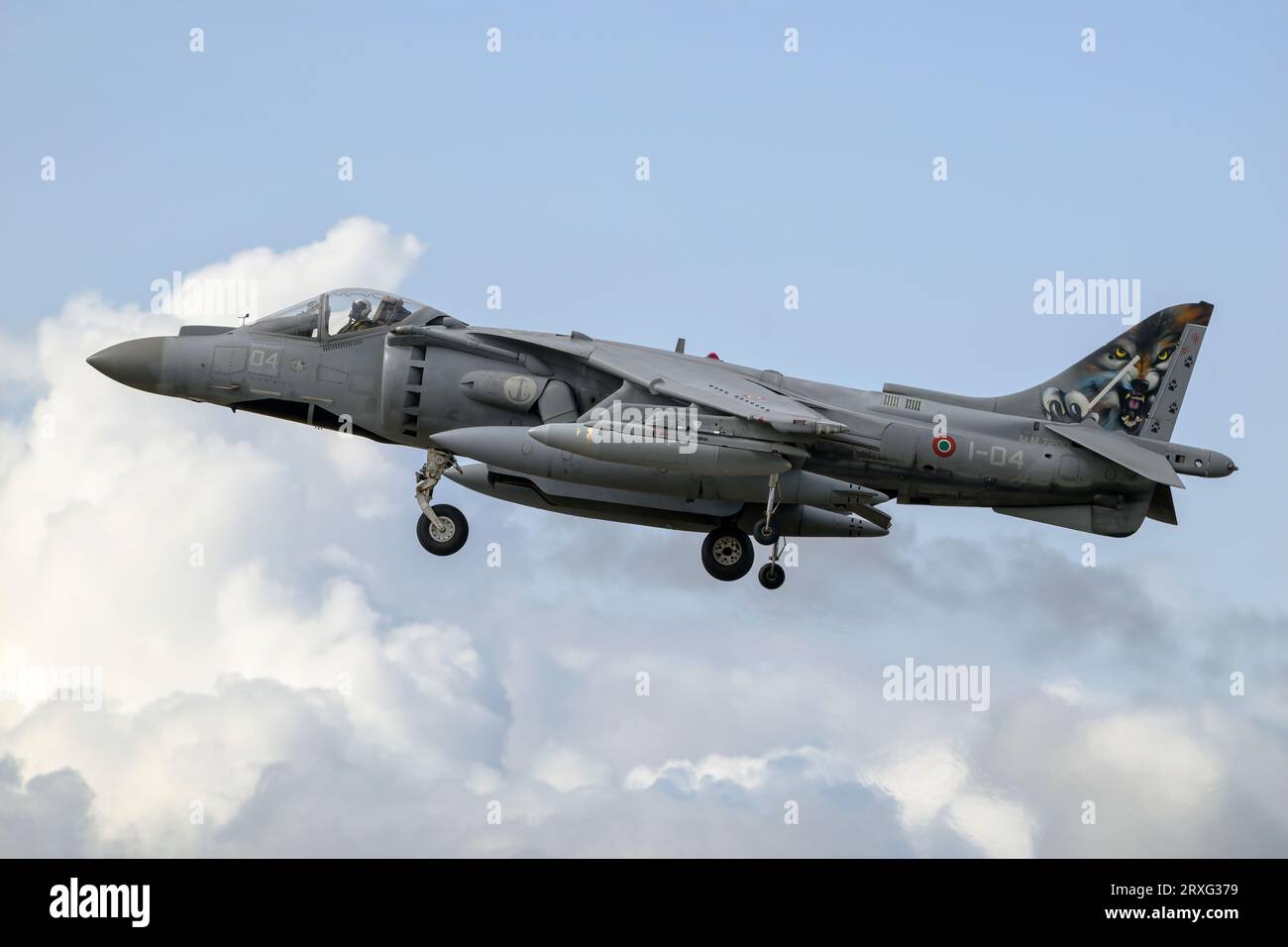 McDonnell Douglas AV8 Harrier caccia monoposto della Marina militare italiana Foto Stock