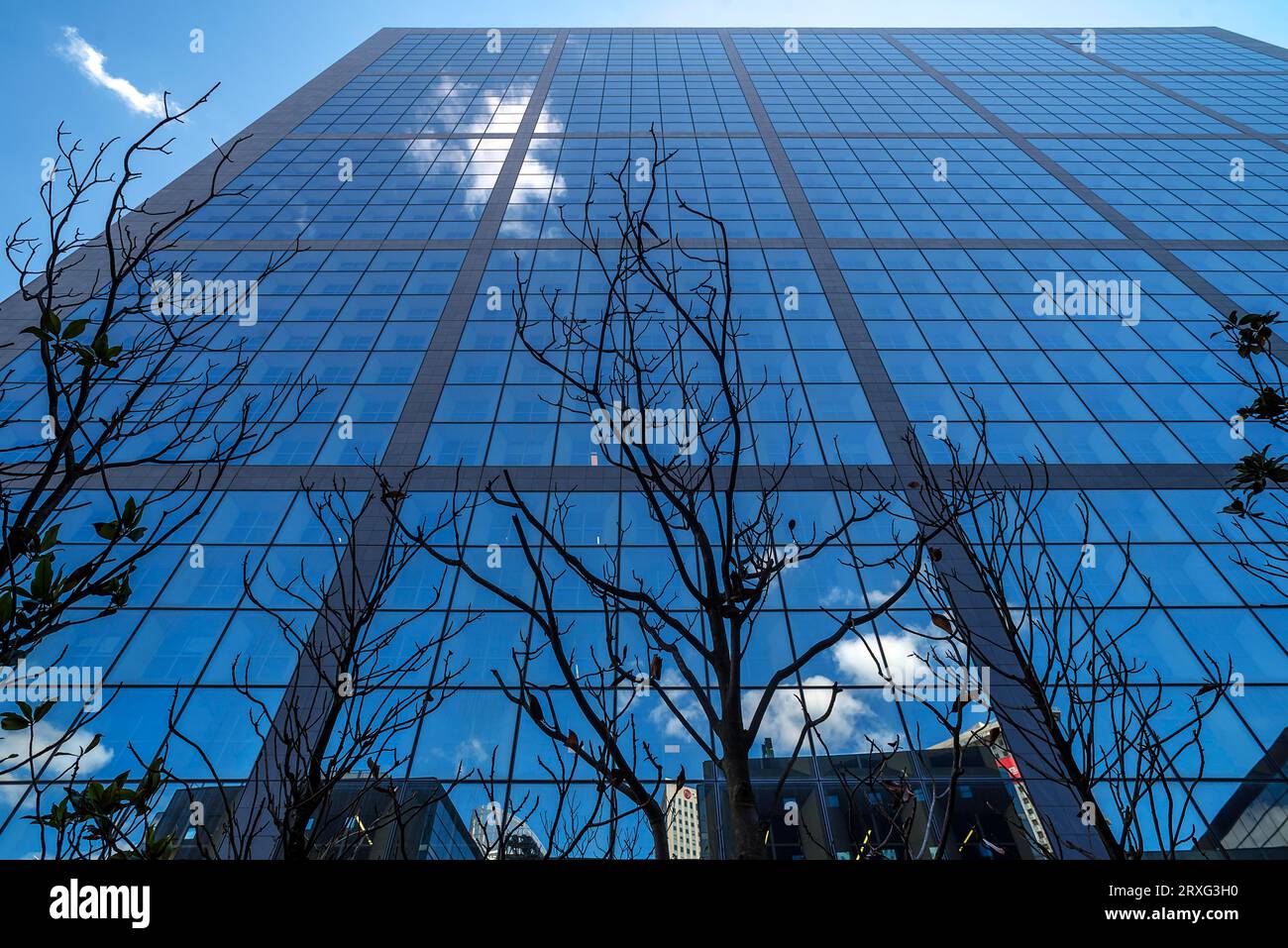 Facciata laterale del Grand Arche, dimensioni: H 110, 9 m, W 106, 9 m, L 112 m, nel nuovo grattacielo la Defence, Parigi, Francia Foto Stock