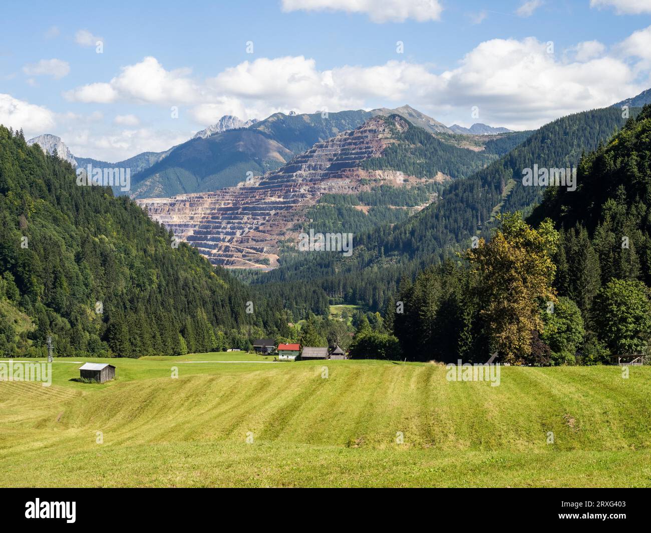 Prato appena tagliato di fronte all'Eisenerzer Reichenstein e all'Erzberg, Eisenerzer Ramsau, vicino a Eisenerz, Stiria, Austria Foto Stock