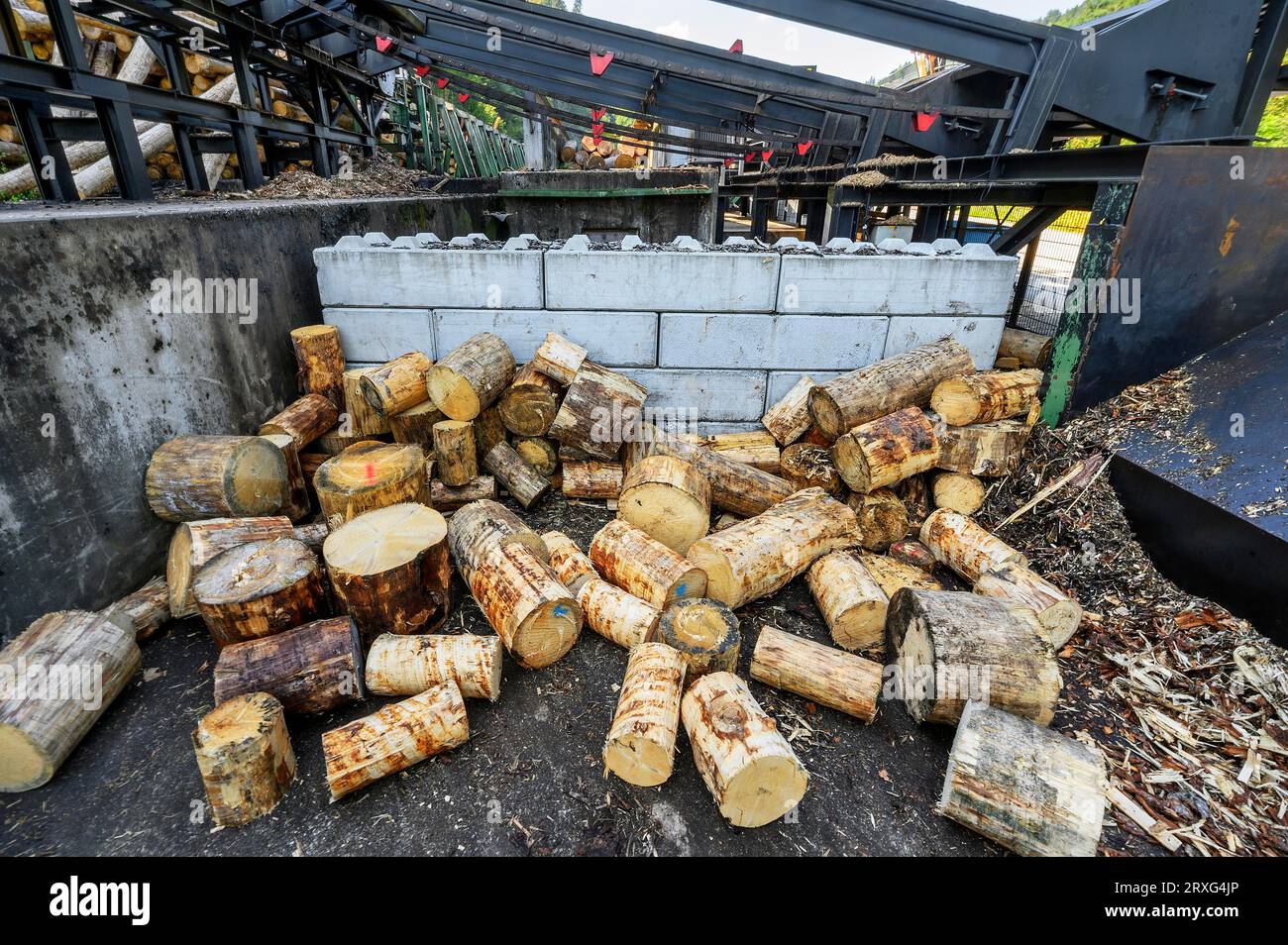 Rifiuti di legno, rifiuti di legno in una segheria, Allgaeu, Baviera, Germania Foto Stock