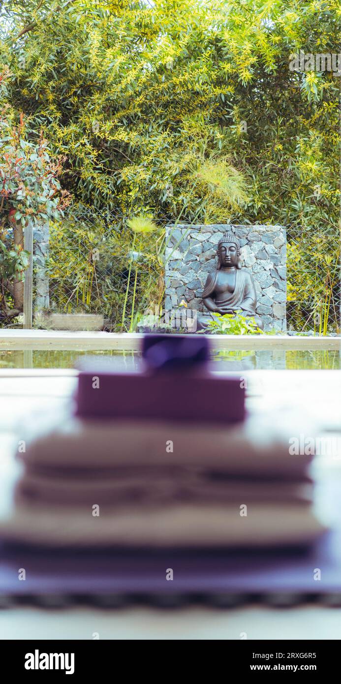 Una statua di Buddha situata nel cortile dello studio di yoga Foto Stock