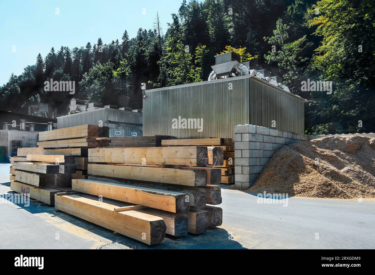 Travi di legno e segatura davanti a un impianto di essiccazione del legno in una segheria, Allgaeu, Baviera, Germania Foto Stock