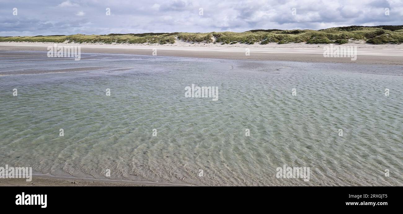 Spiaggia di sabbia vicino a Quend-Plage, somme, Haut-de-France, Francia Foto Stock