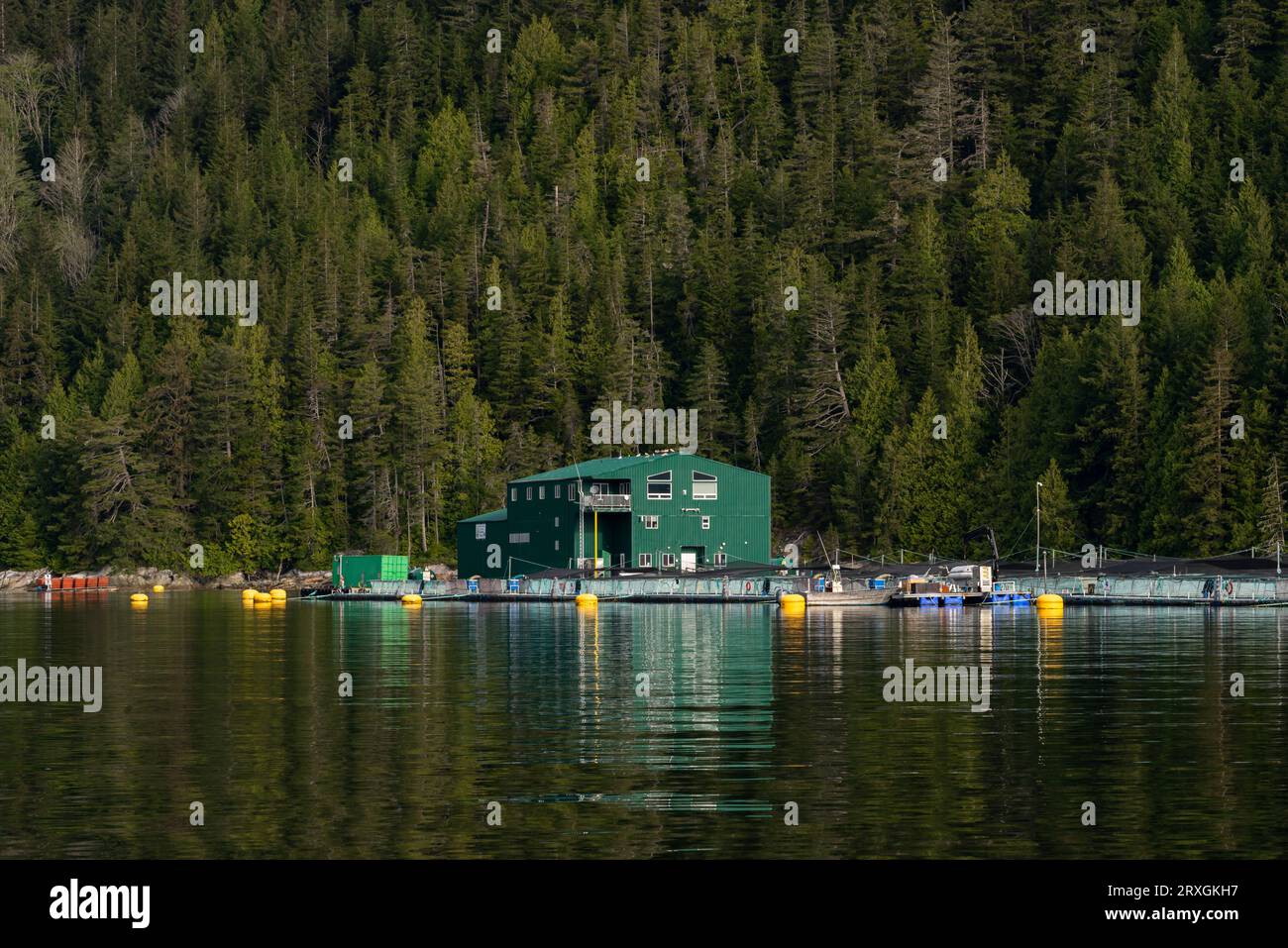 Operazioni di allevamento ittico nelle acque costiere della Columbia Britannica, Canada Foto Stock