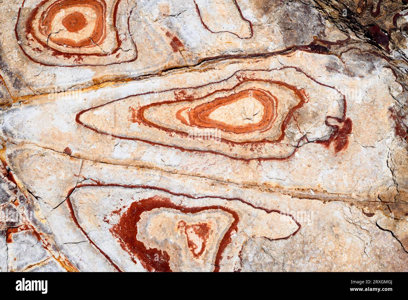 Formazione di rocce vulcaniche ignimbrite con anelli di Liesegang. Le vene gialle sono minerali jarosite e rossastre sono goethite. Questa foto è stata scattata a Rodal Foto Stock