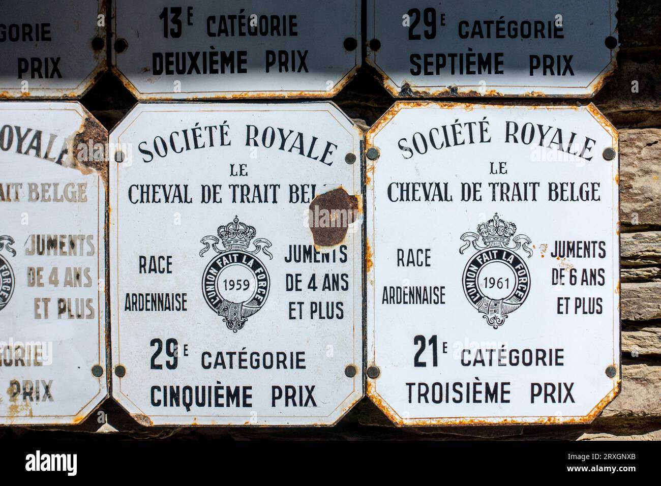 Targhe di gara del draft belga smaltate della Société Royale de Cheval de Trait Belge per cavalli da tiro belgi, Belgio Foto Stock