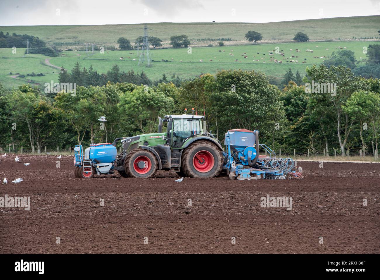 Coltivazione e fertilizzazione di trattori vicino a Laurancekirk, Aberdeenshire Foto Stock