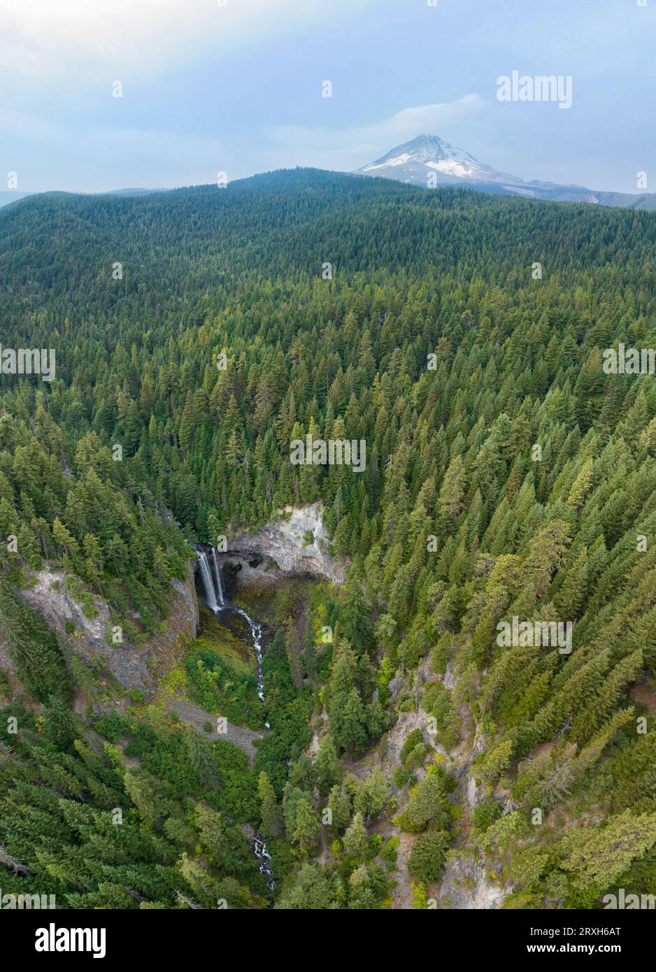 Si trova sul versante orientale del Monte Hood, non lontano da Portland, Oregon, le imponenti cascate Tamawanas cadono per oltre 150 metri in una splendida foresta. Foto Stock