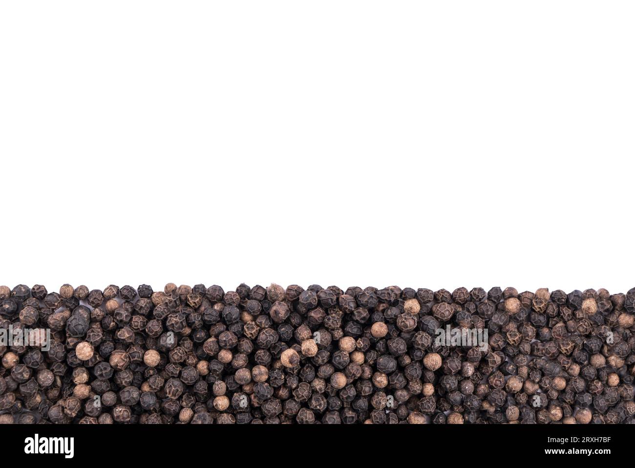 uno strato di grani d'orzo su sfondo trasparente Foto Stock