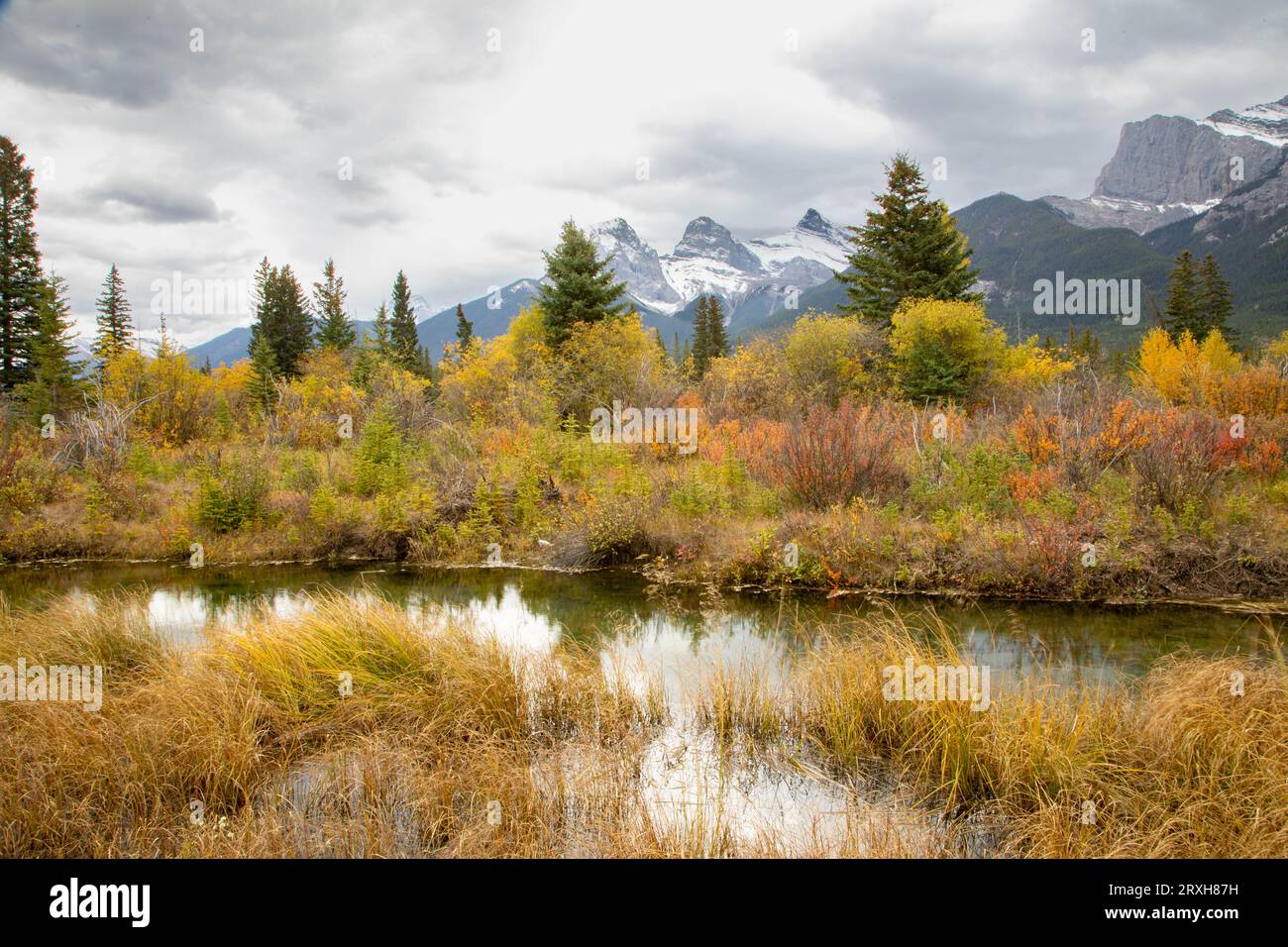 il paesaggio di montagna autunnale, gli alberi e il paesaggio diventano gialli e arancioni con il variare della stagione. Foto Stock