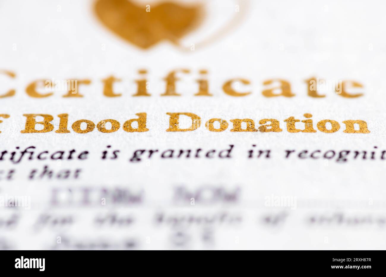 Macro primo piano di un certificato di donazione di sangue. Foto Stock