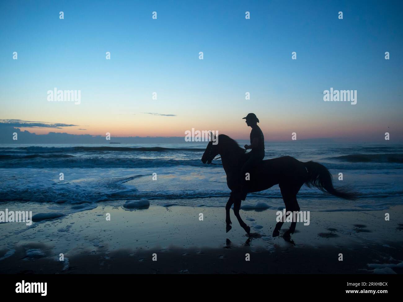 Cowboy cavalca il suo cavallo all'alba lungo Virginia Beach nel First Landing State Park, Virginia, USA; Virginia Beach, Virginia, Stati Uniti d'America Foto Stock