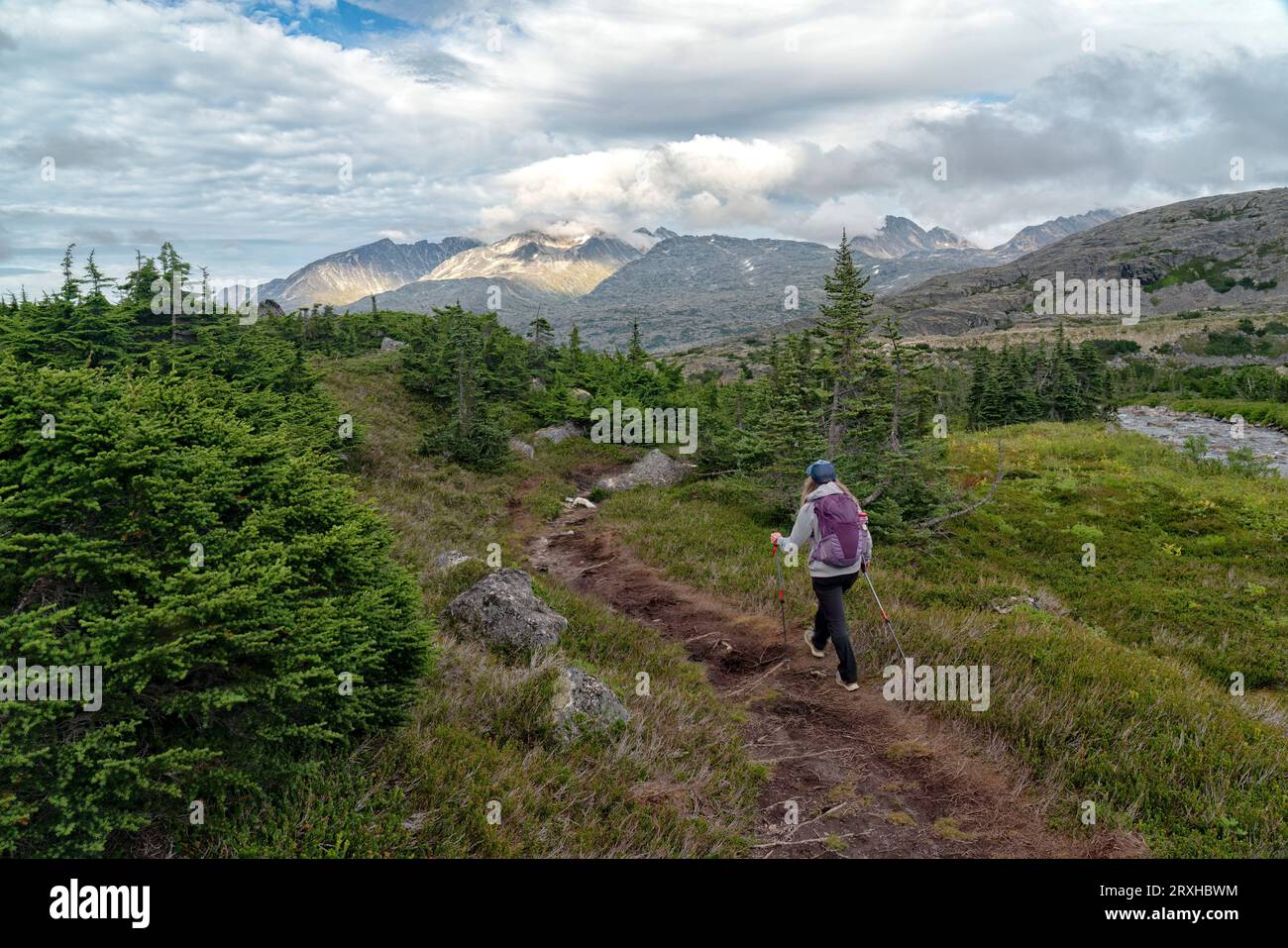 Vista da dietro di una donna che cammina accanto a un ruscello lungo l'International Falls Trail, una delle fantastiche escursioni nella zona dello Yukon; Yukon, Canada Foto Stock