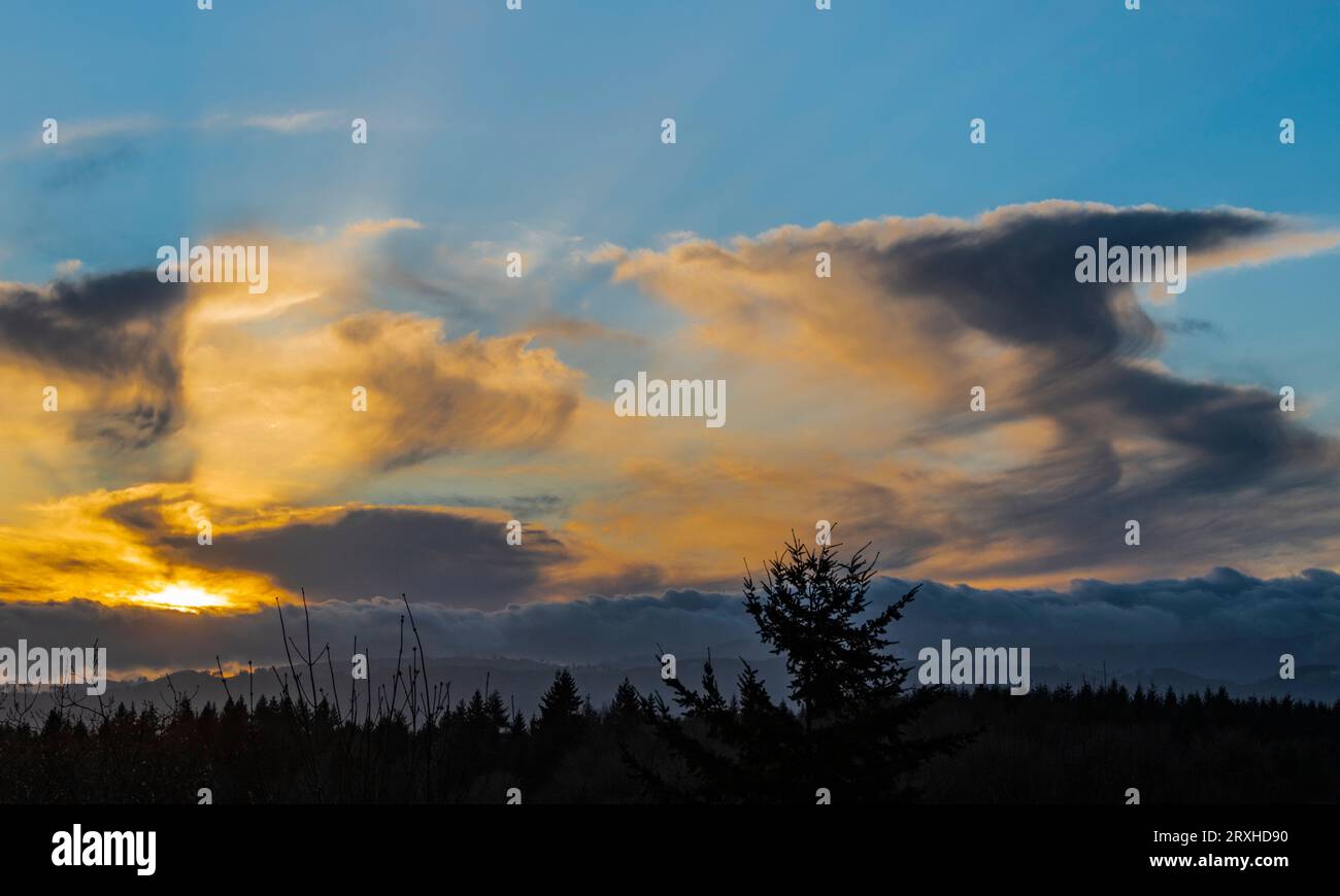 Spettacolare tramonto invernale con nuvole di Virga e foresta sagomata; Olympia, Washington, Stati Uniti d'America Foto Stock