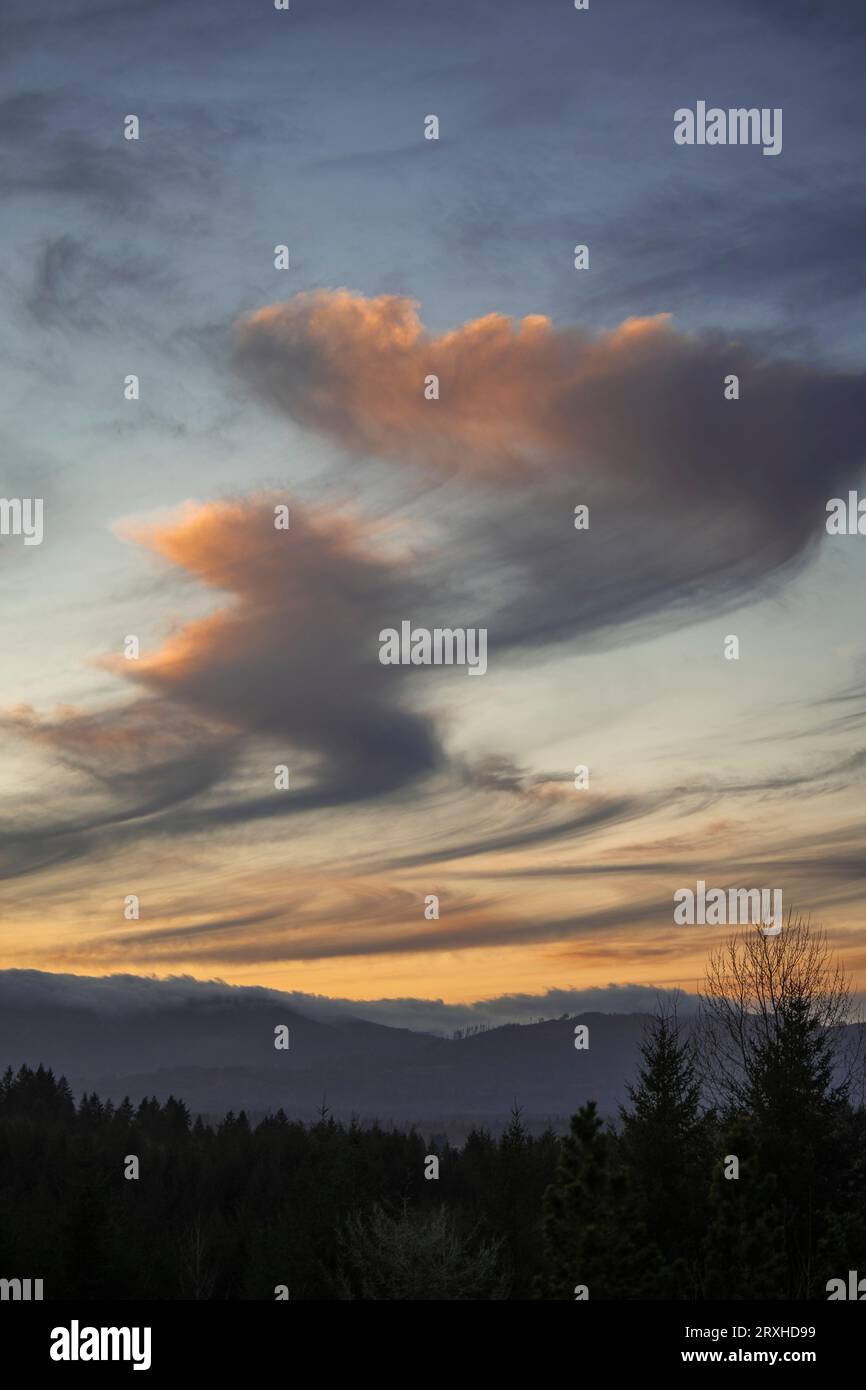 Nuvole di Virga durante un tramonto invernale sulle Black Hills, Capitol State Forest vicino a Olympia, Washington, Stati Uniti; Washington, Stati Uniti d'America Foto Stock