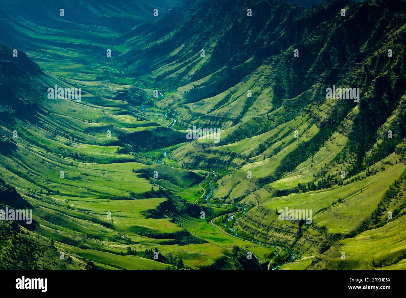Il fiume Imnaha scorre attraverso un lussureggiante canyon verde; Oregon, Stati Uniti d'America Foto Stock
