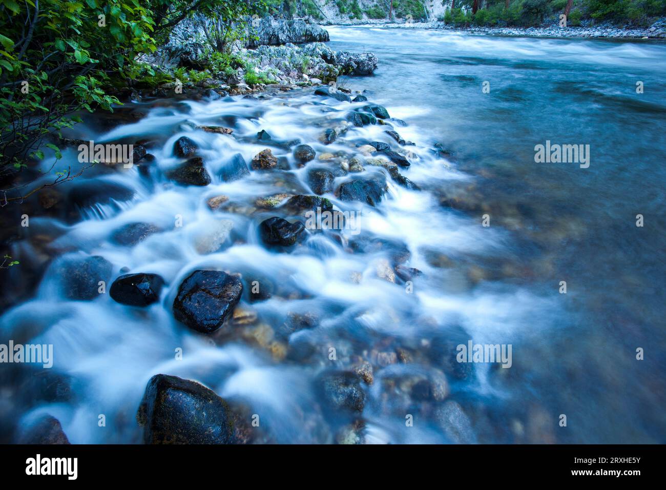 Middle Fork del fiume Salmon che scorre su una costa rocciosa; Idaho, Stati Uniti d'America Foto Stock