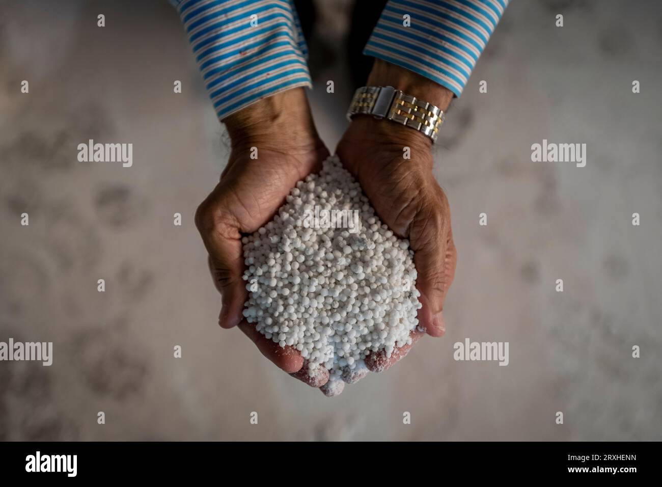 Granulati di urea nello stabilimento di produzione di fertilizzanti KAFCO a Chittagong, Bangladesh. Il Bangladesh ha imposto restrizioni alle esportazioni di fertilizzanti a seguito del conflitto Russia-Ucraina. Foto Stock