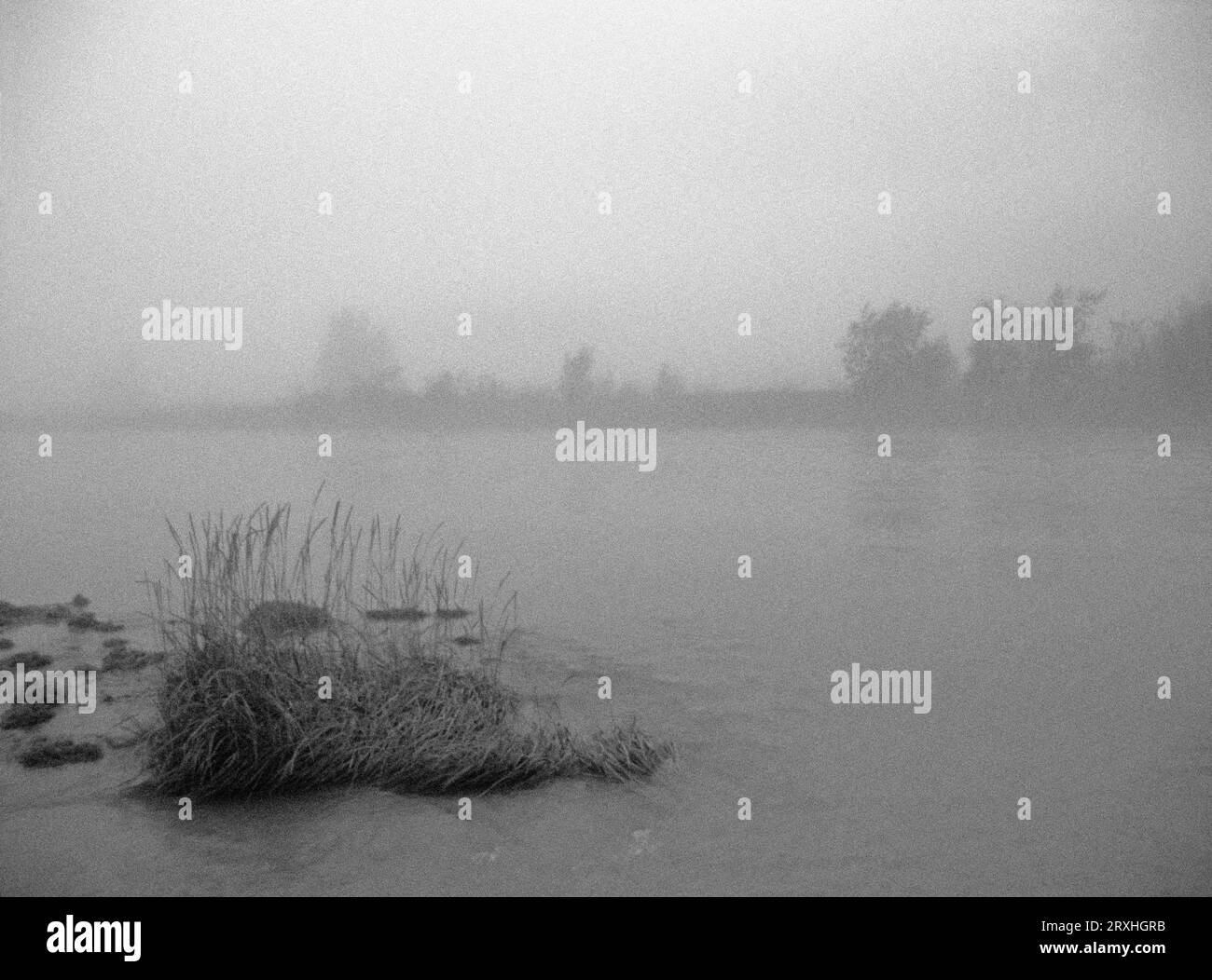 Nebbia sul fiume Taiya vicino a Dyea Alaska se Summer B&W Foto Stock
