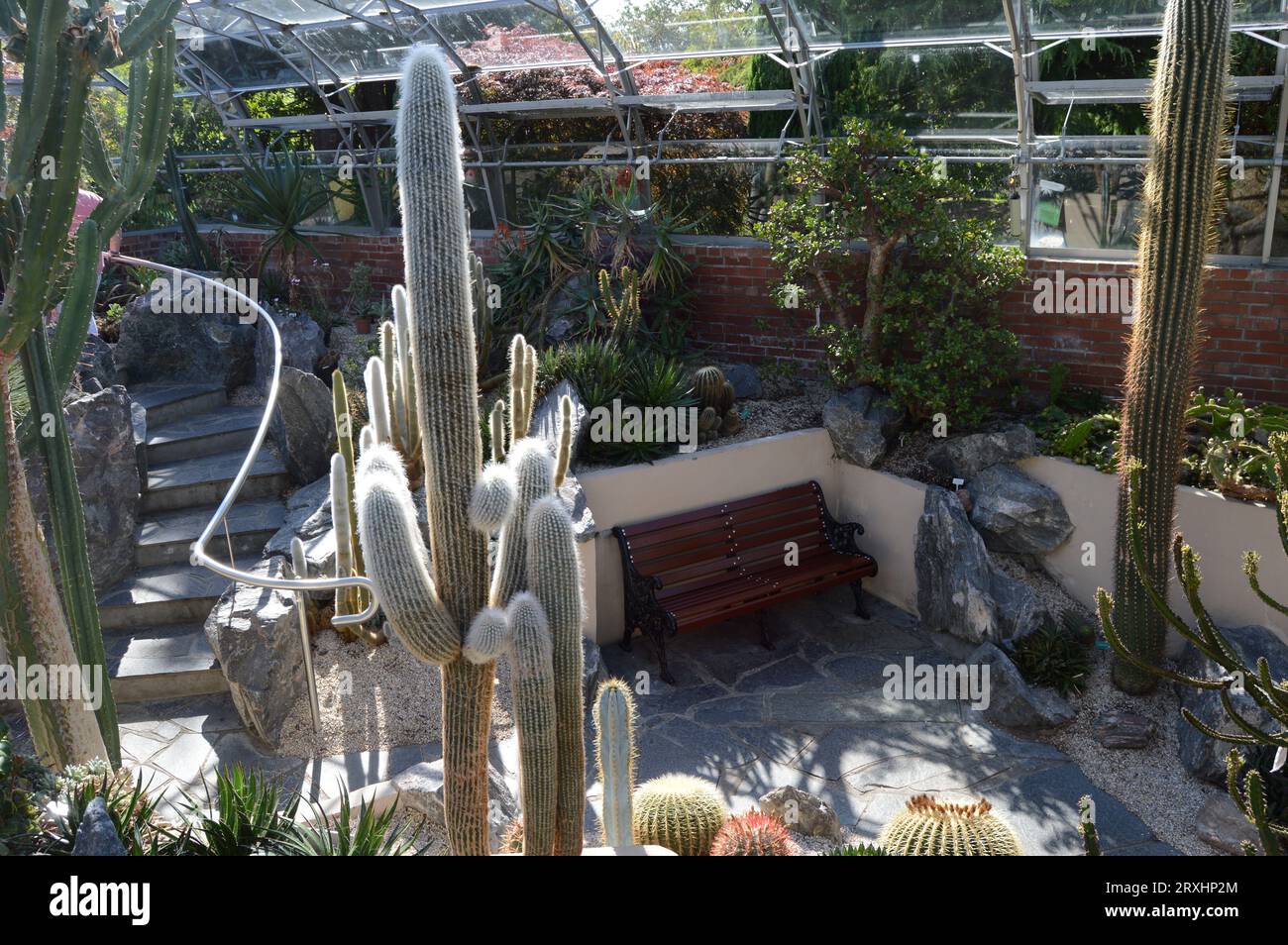 Cactus House presso i Giardini Botanici di inverness Foto Stock