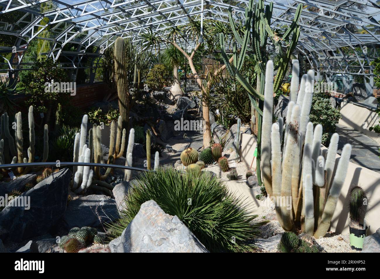 Cactus House presso i Giardini Botanici di Inverness Foto Stock