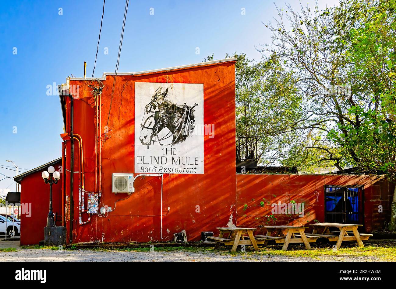 Il bar e ristorante Blind Mule presenta un murale di un mulo sul lato dell'edificio, 23 settembre 2023, a Mobile, Alabama. Foto Stock