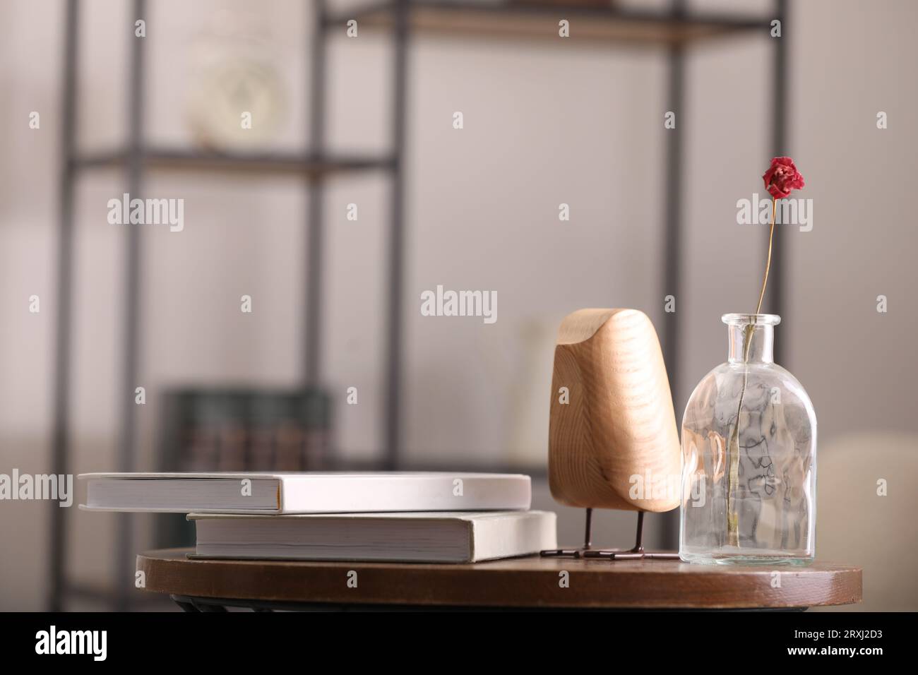 Vaso con fiori secchi, libri e uccello di legno sul tavolo in camera, spazio per testo Foto Stock