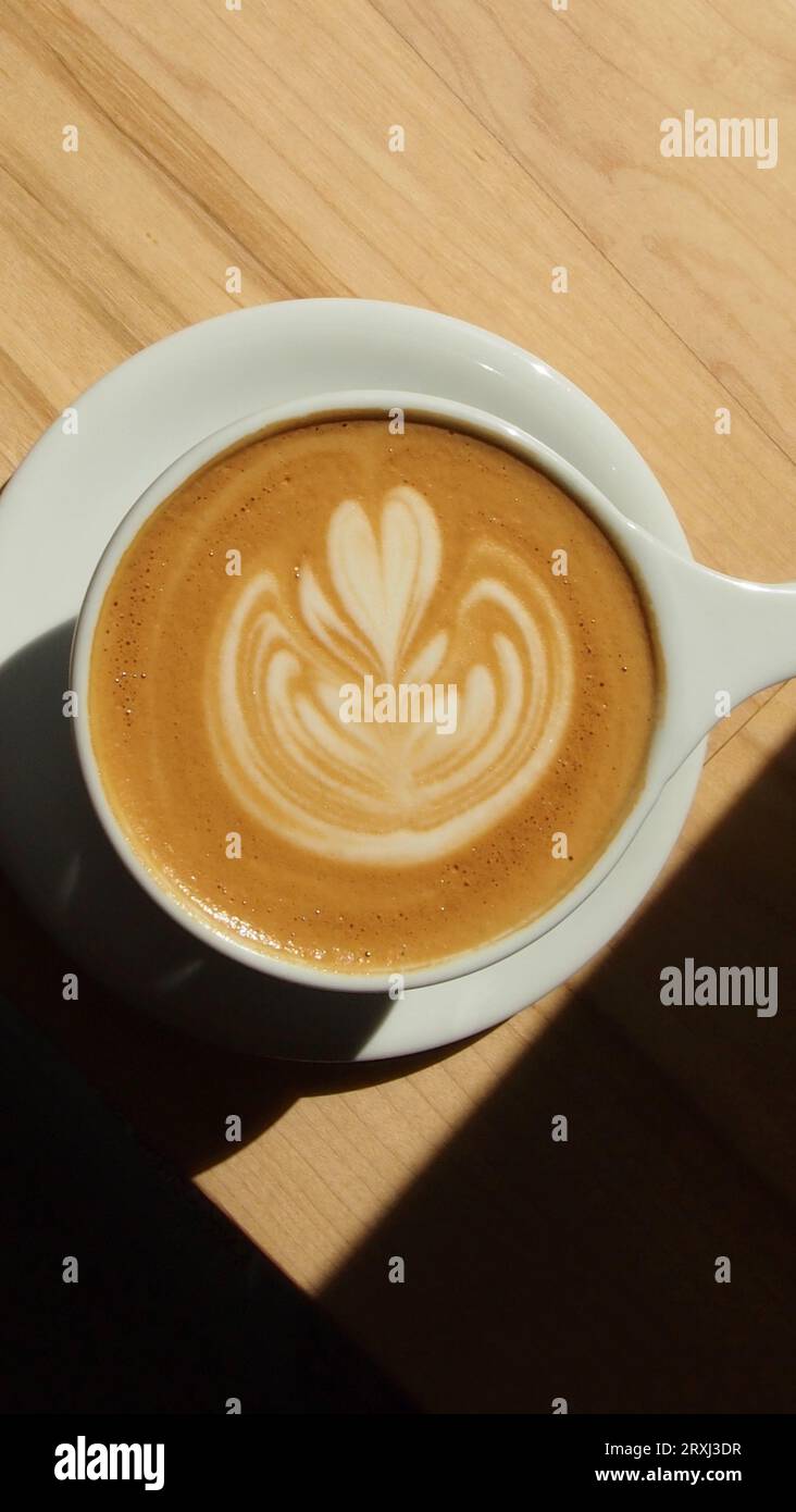 Arte del caffè ambientata alla luce del sole con ombre angolate Foto Stock