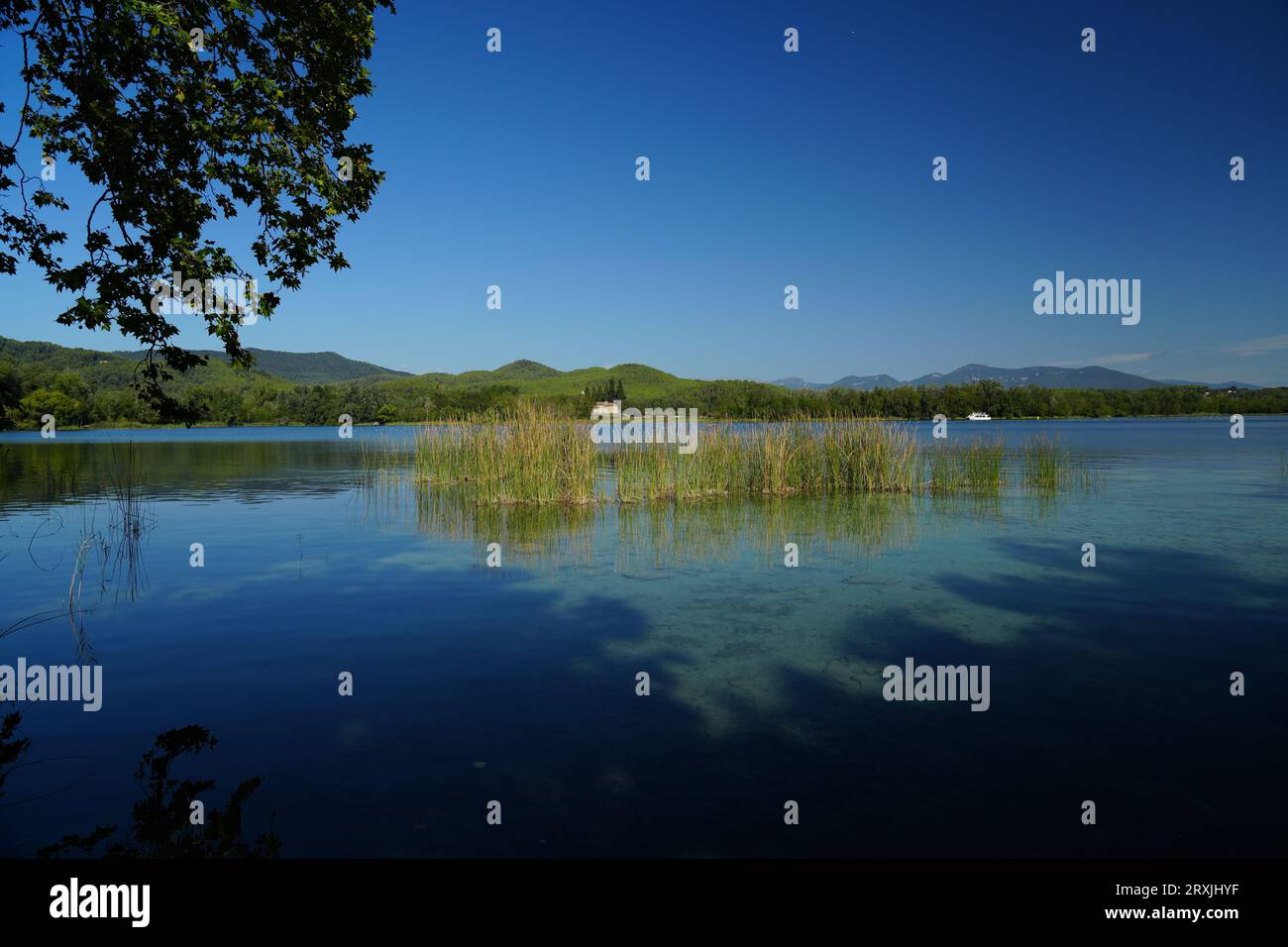 Lago di Banyoles, Banyoles, Cataluña, Catalogna, Spagna, Europa Foto Stock