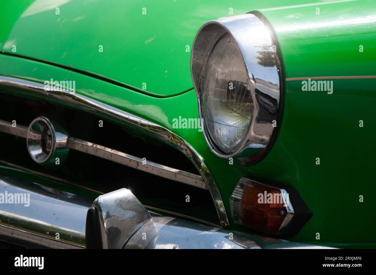 Particolare di Green Sunbeam Alpine, Bouchon RN 20 à Souillac, dipartimento Lot Foto Stock