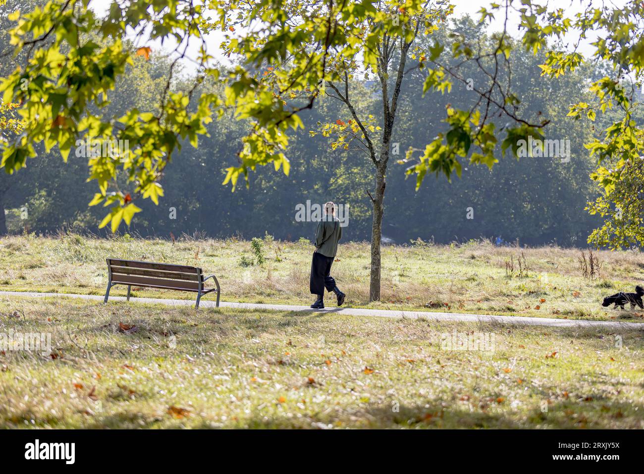 Fotografia della zona locale di Catford Foto Stock