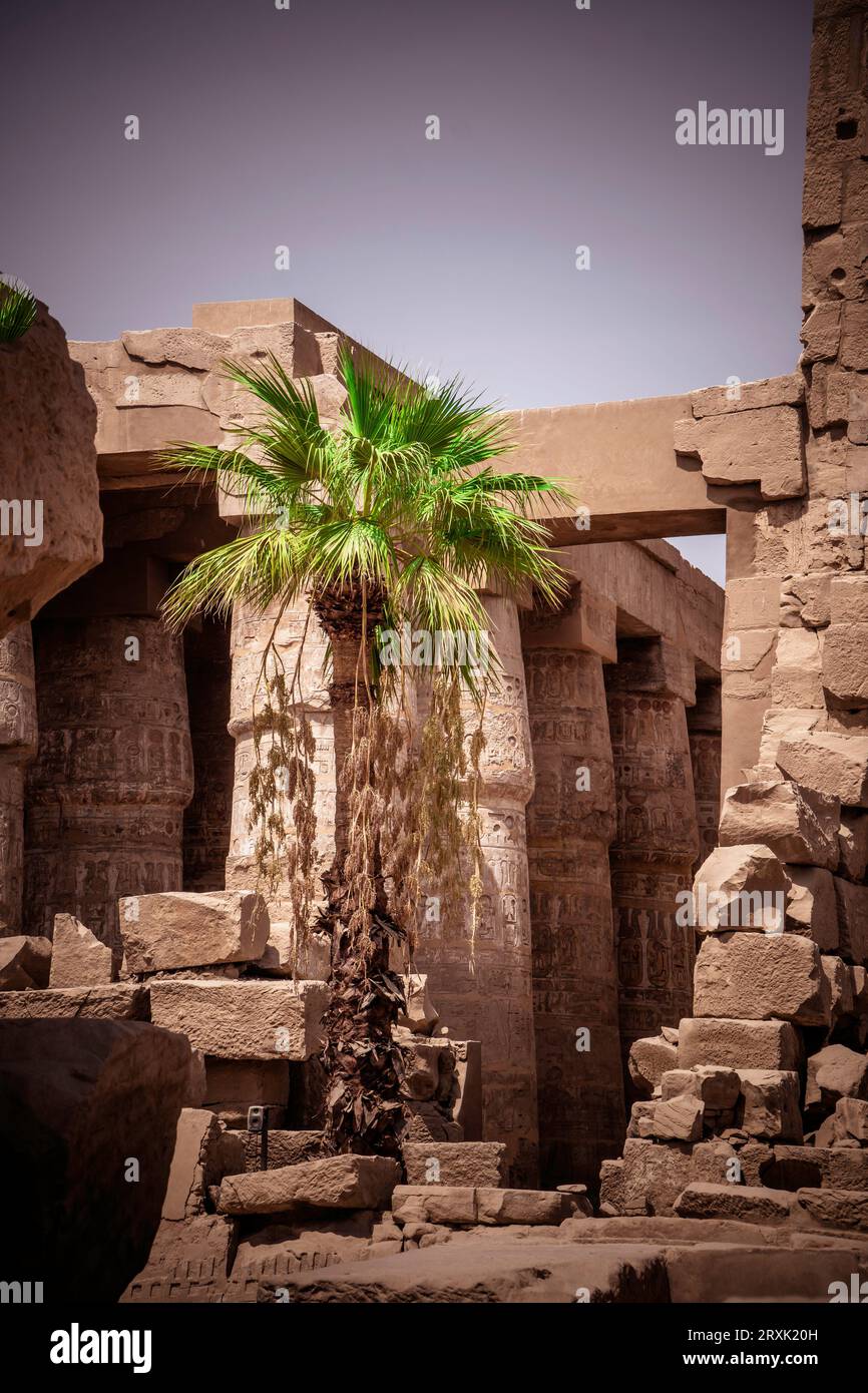 Un breve viaggio in Egitto con delle foto meravigliose. Foto Stock
