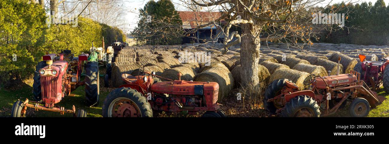 Balle di fieno essiccate in campo, Quebec, Canada Foto Stock