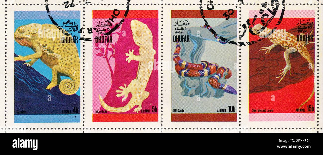Foglio di francobolli raffiguranti lucertole. Dhofar (Oman), 1972. Animali: Camaleonte, geco di Tokay, serpente da latte, lucertola a becco laterale. Foto Stock