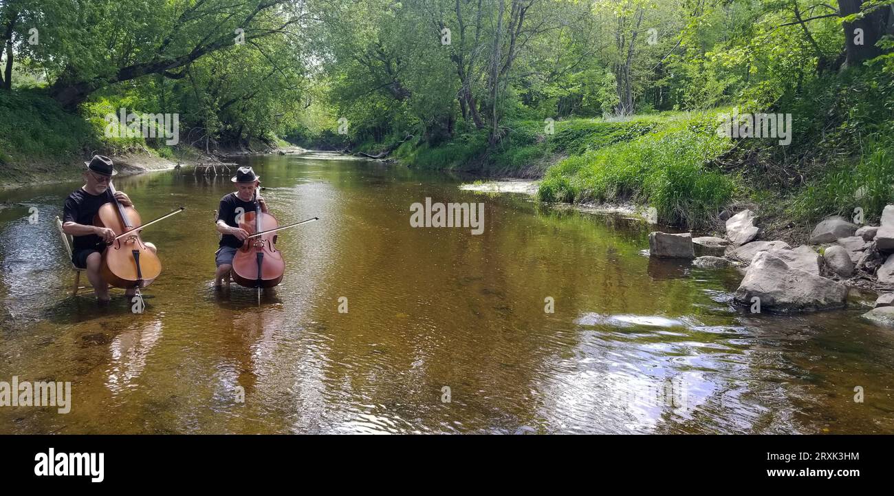 Due violoncellisti che suonano nel fiume poco profondo Foto Stock