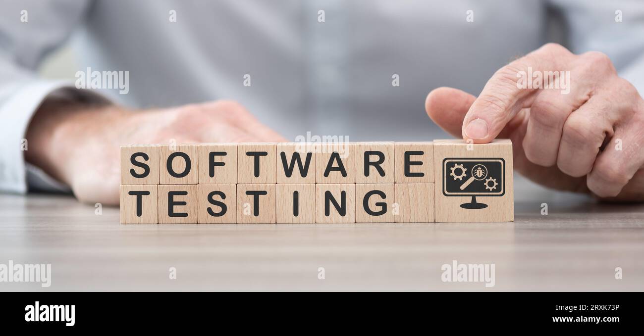 Blocchi di legno con simbolo del concetto di test software Foto Stock