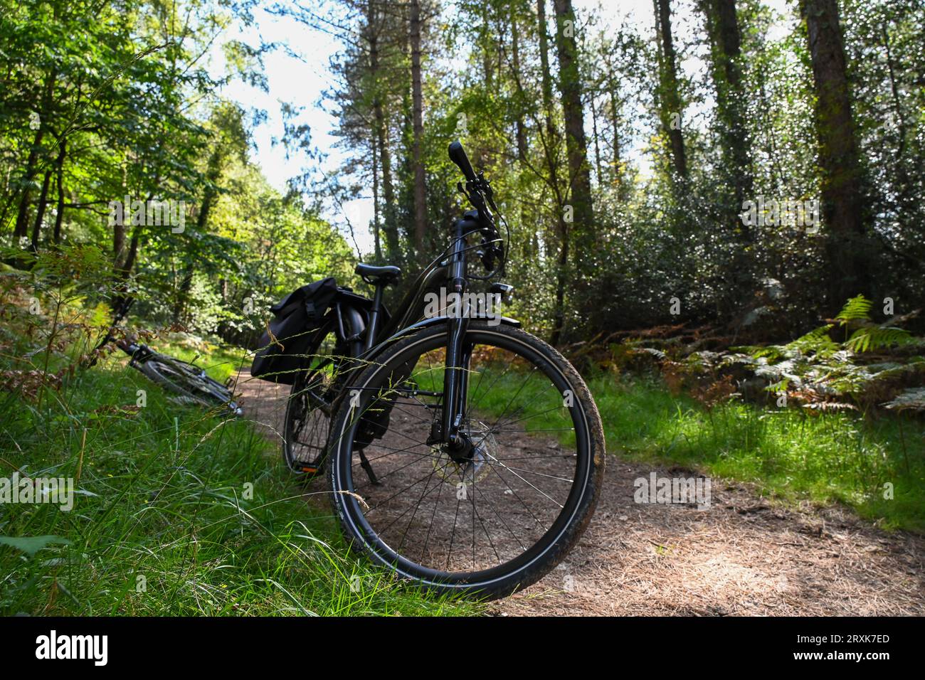 Una bicicletta elettrica nera appoggiata sul suo stand su un sentiero nel mezzo di una foresta, New Forest, che fa una pausa Foto Stock